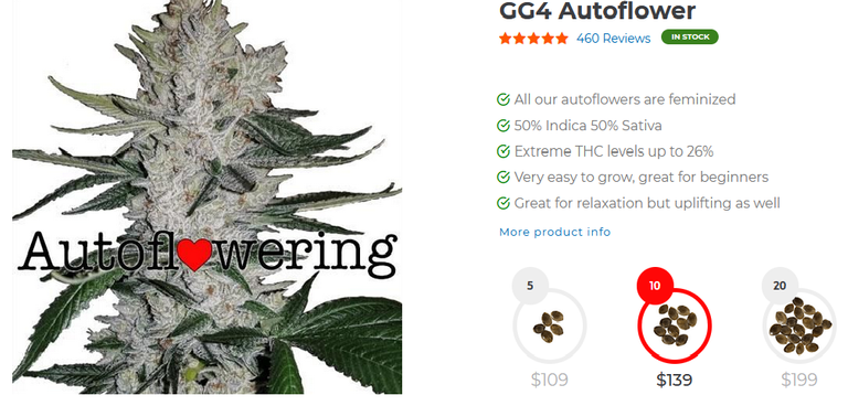 GG4 Auto.png