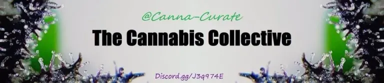 cannacurate collective.webp