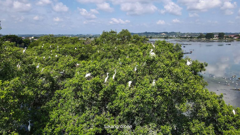 DJI_0723.JPG