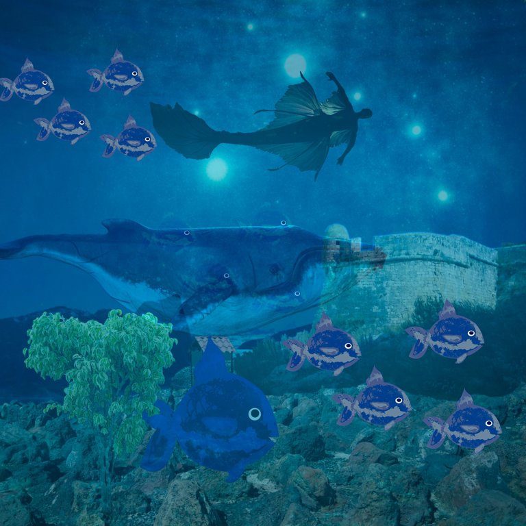 Under Deep Blue sea - LMAC 130.jpg