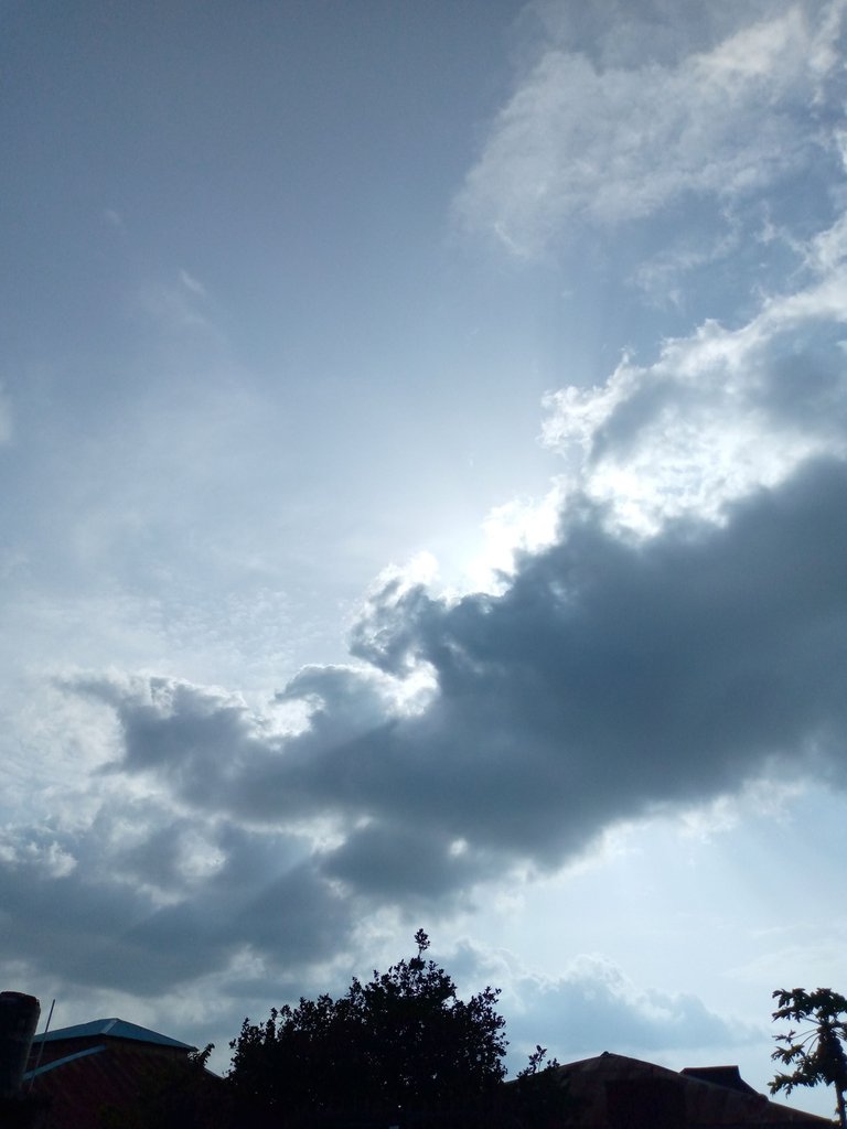 IMG_20221012_161919_538.jpg