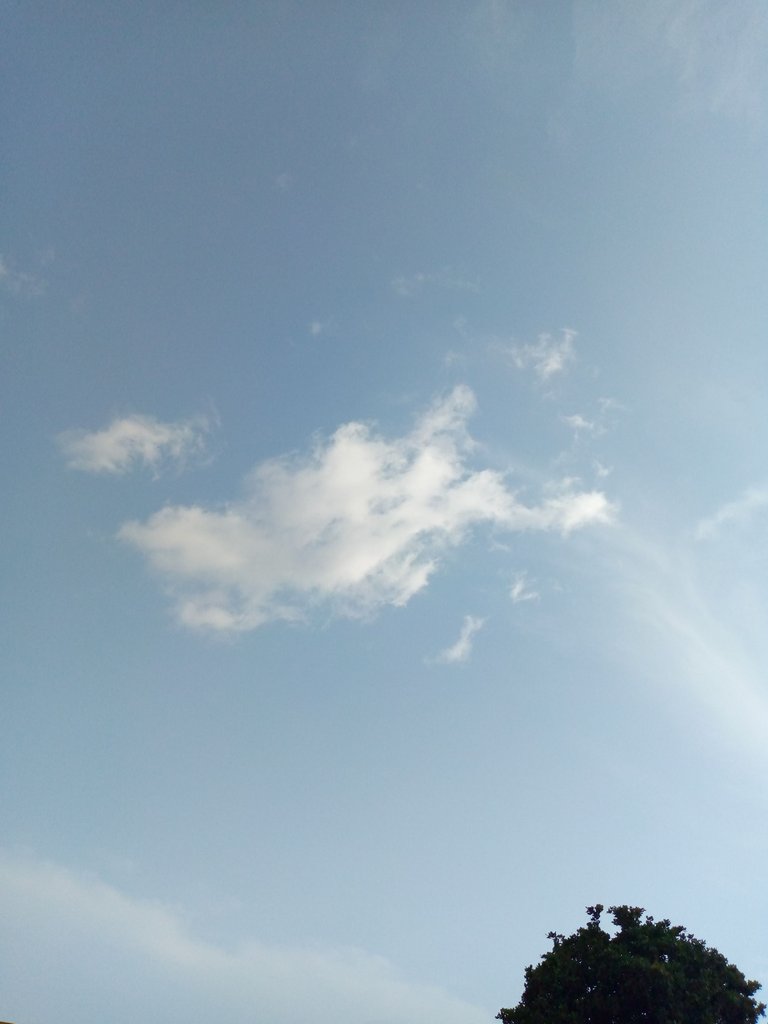IMG_20221012_161929_073.jpg