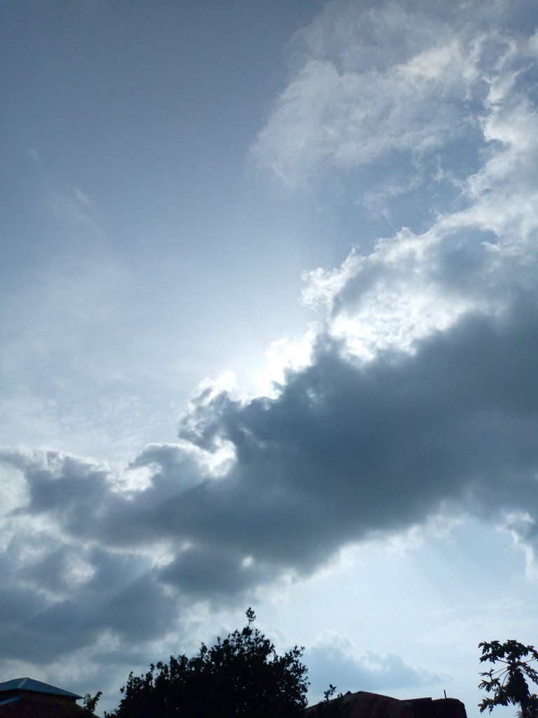 IMG_20221012_161920_468.jpg