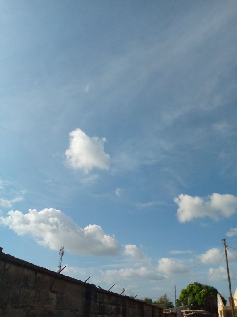 IMG_20230616_163433_320.jpg
