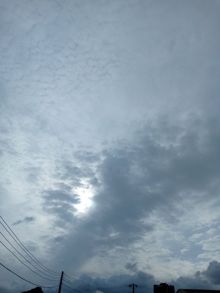 IMG_20240525_170354_368.jpg