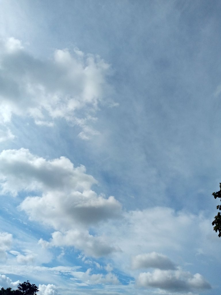 IMG_20220912_163614_598.jpg