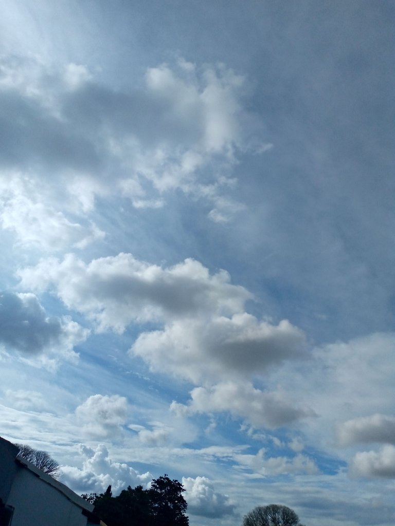 IMG_20220912_163610_893.jpg
