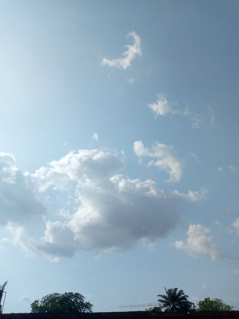 IMG_20231109_154424_968.jpg