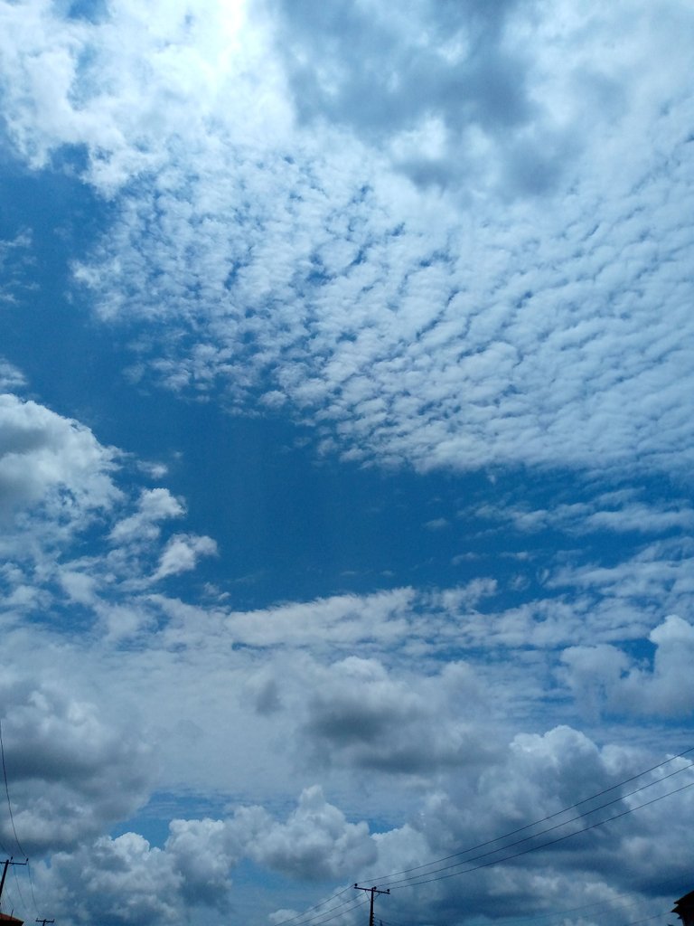 IMG_20220929_130429_538.jpg