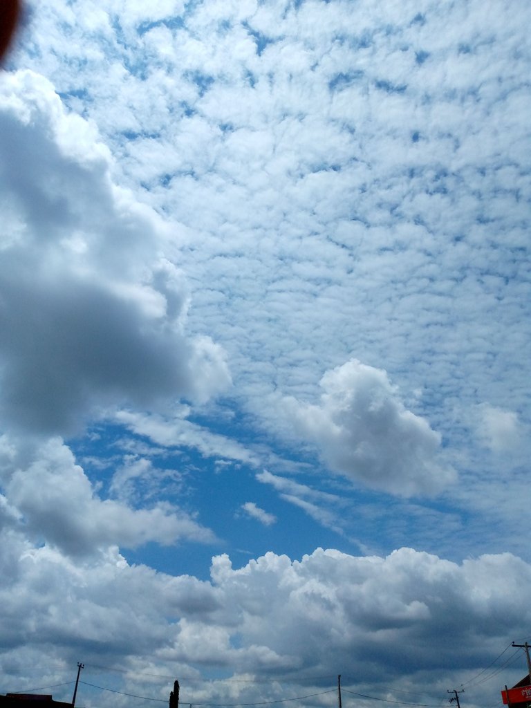 IMG_20220929_131133_060.jpg