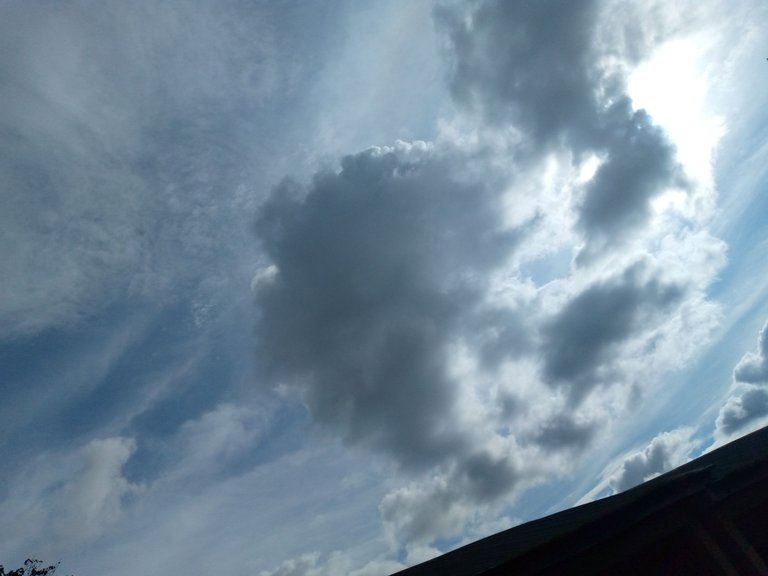 IMG_20220912_163532_167.jpg