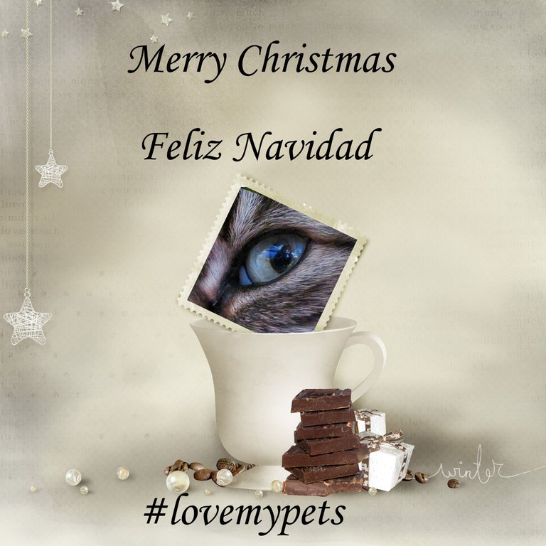 navidad lovemypets.jpg