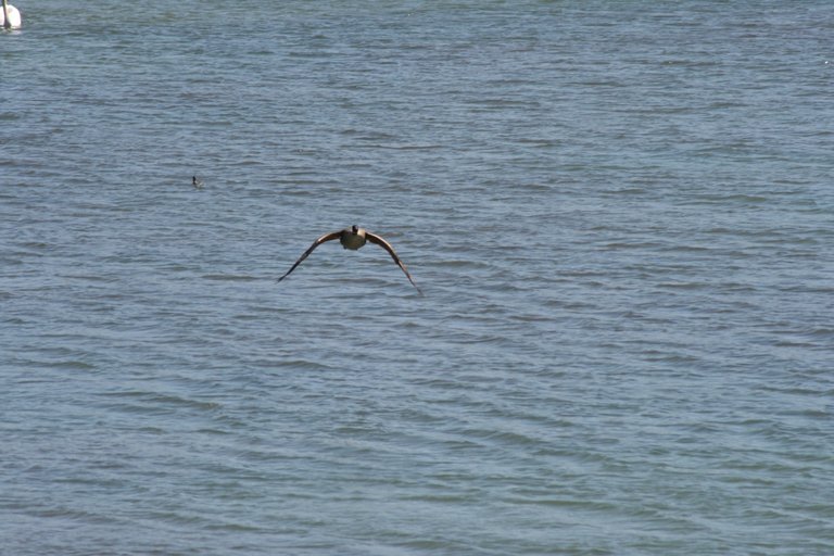 IMG_6016.JPG