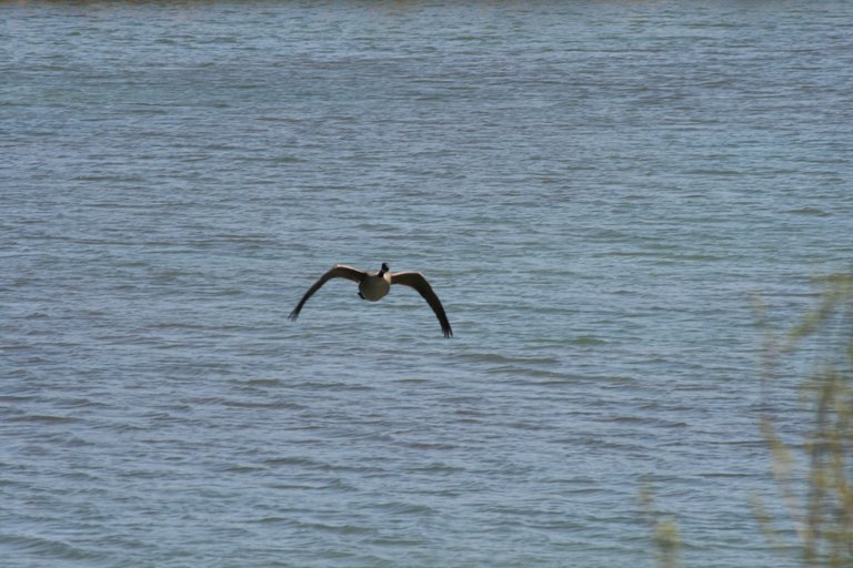 IMG_6017.JPG
