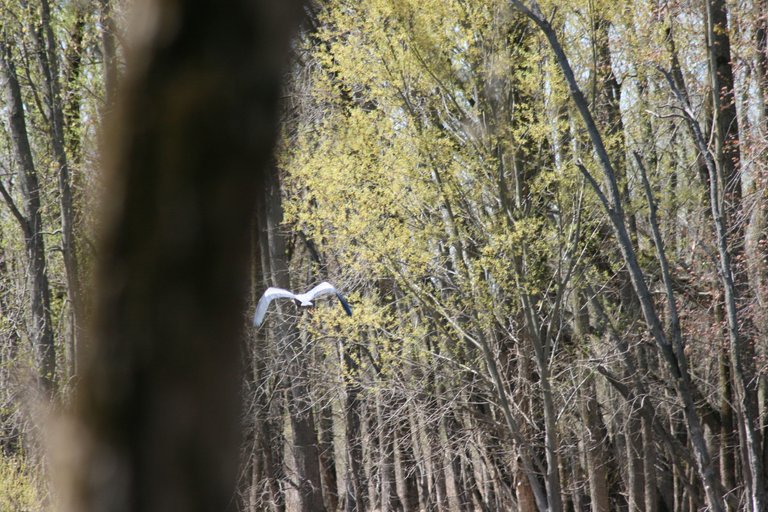 IMG_6182.JPG