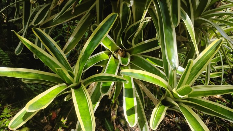 IMG_20250821_092821847_HDR.jpg