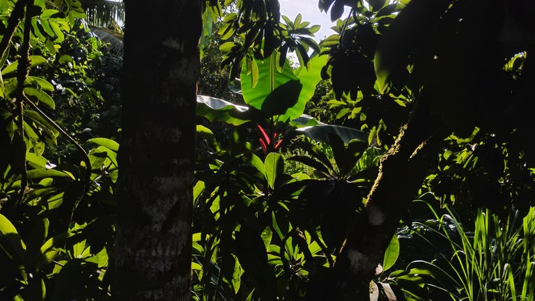 IMG_20250829_162941838_HDR.jpg