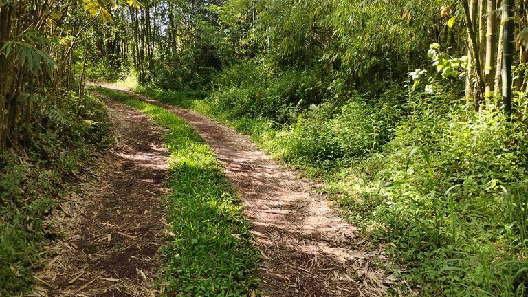 IMG_20250727_161732179_HDR.jpg