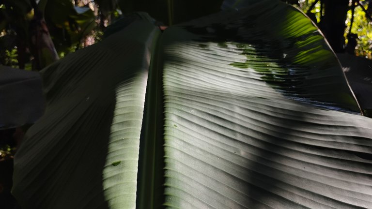 1000019079.jpg