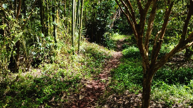 IMG_20250807_145206388_HDR.jpg