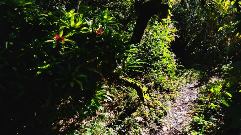 IMG_20250812_082043513_HDR.jpg