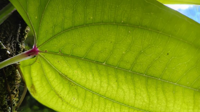 IMG_20250802_100755837_HDR.jpg