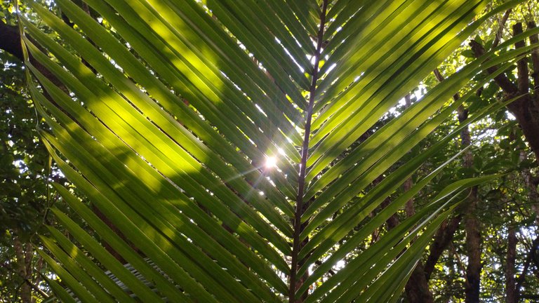 IMG_20250713_163233000_HDR.jpg