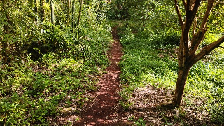 IMG_20250724_161251430_HDR.jpg