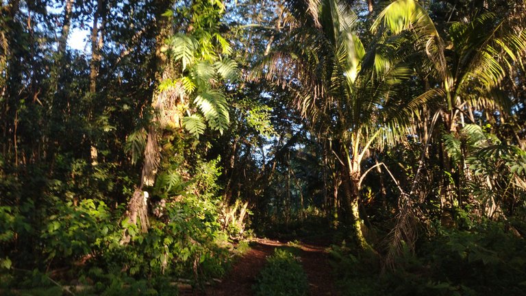 IMG_20250722_181659212_HDR.jpg