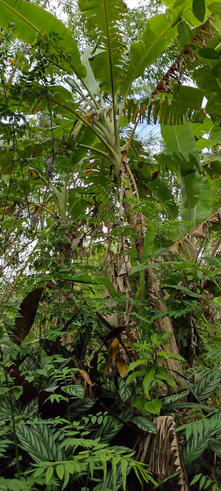 IMG_20230624_163535940_HDR.jpg