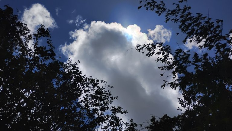 IMG_20250725_135841493_HDR.jpg