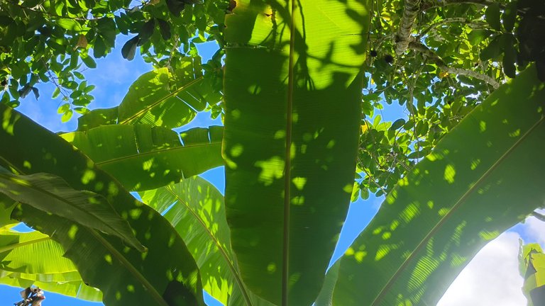 IMG_20250911_140226369_HDR.jpg