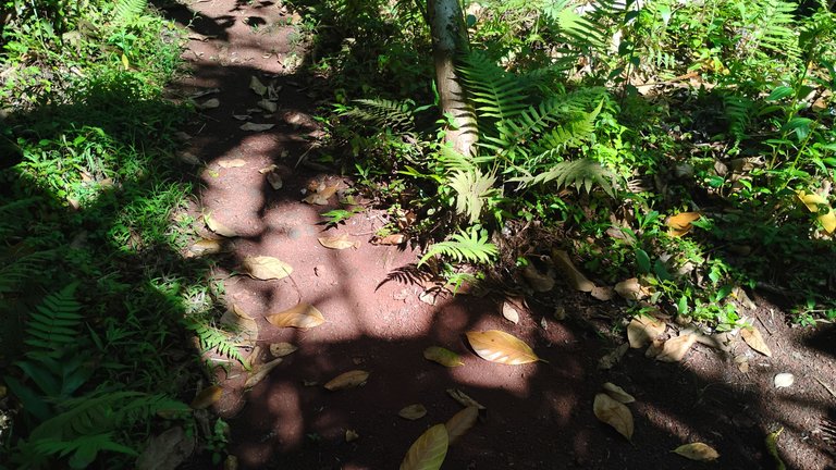 IMG_20250905_143629363.jpg
