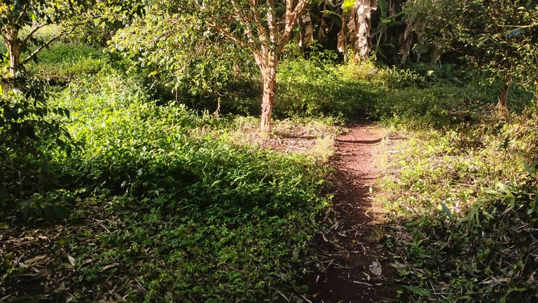 IMG_20250905_172507697_HDR.jpg