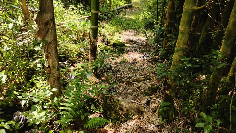 IMG_20250727_130742232_HDR.jpg