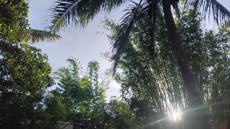 IMG_20250724_175013910_HDR.jpg