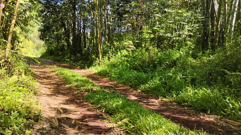 IMG_20250809_085333929_HDR.jpg