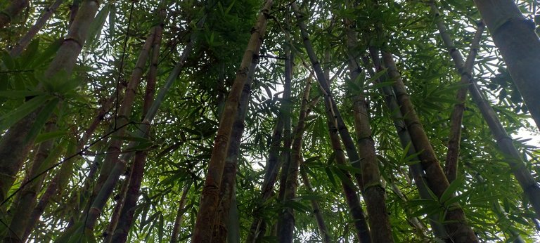 IMG_20231129_154654931_HDR.jpg