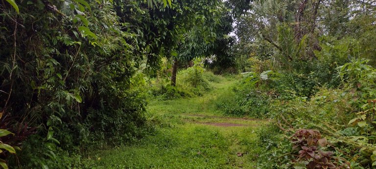 IMG_20231203_162617974_HDR.jpg