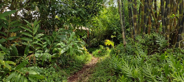 IMG_20230722_145909454_HDR.jpg