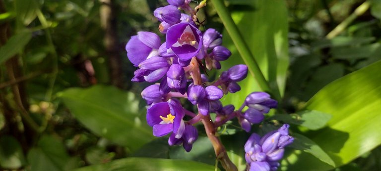 IMG_20230919_153648228_HDR.jpg