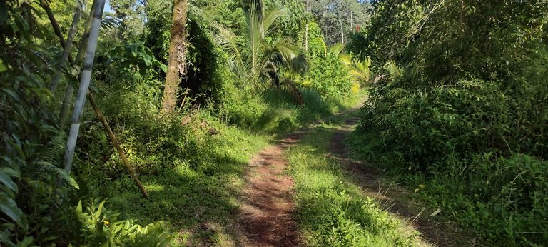IMG_20230930_155516276_HDR.jpg