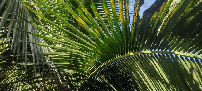 IMG_20231013_093532659_HDR.jpg