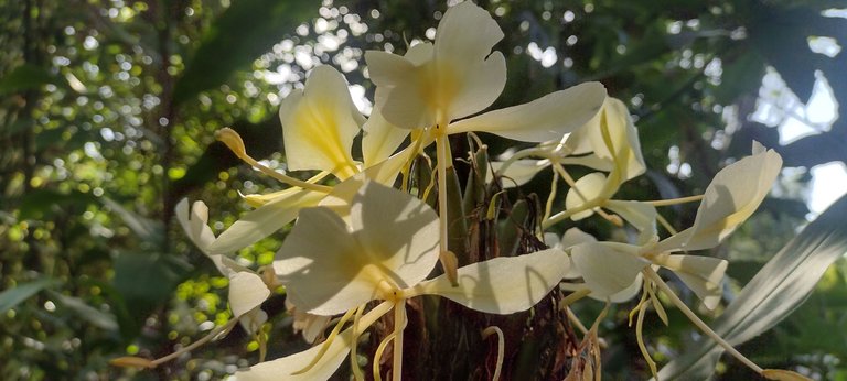 IMG_20230807_161720070_HDR.jpg