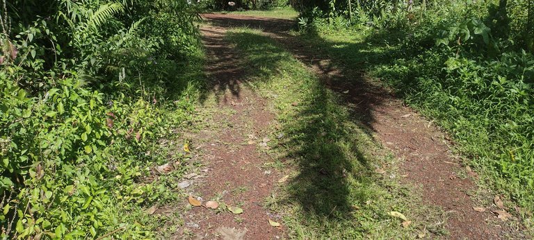 IMG_20230718_100612566_HDR.jpg