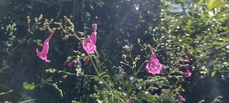 IMG_20230727_151346065_HDR.jpg