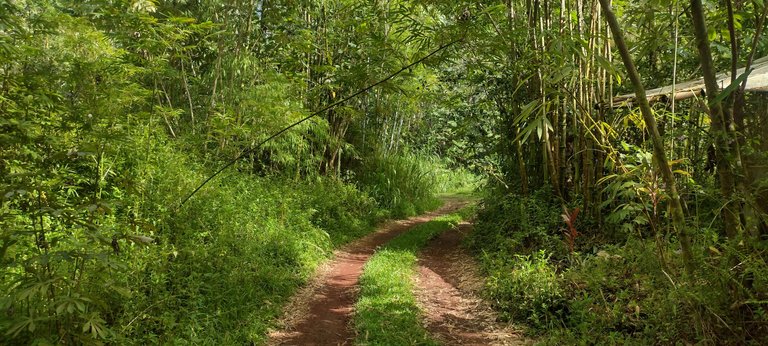 IMG_20230919_151028876_HDR.jpg
