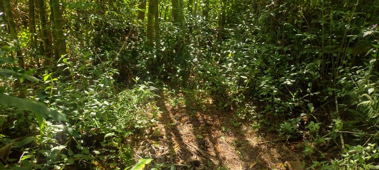 IMG_20230718_100358419_HDR.jpg
