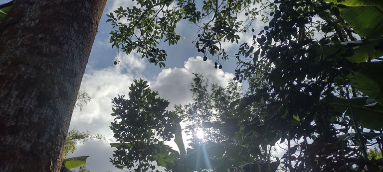 IMG_20230918_163105479_HDR.jpg