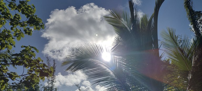 IMG_20230924_160206535_HDR.jpg